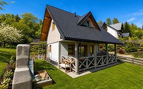 SZARE DOMKI i apartamenty Szczawnica